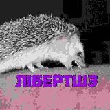 Лібертшз 🇮🇱🇵🇸🏴🏴☠️🏳️⚧️↙️