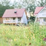 natrave.fm | Карпаты