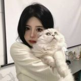 ➕Q&A問答區♡點點X小邦妮♡桃園定點🐰