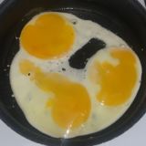 LP