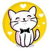 СМЕШНЫЕ ВИДЕО