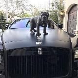 🔊Swiss 48 MUSIC BAR🔊