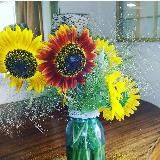 Positive Resistance for Quality People