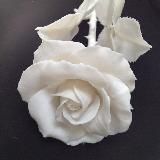 Продолжение и ответы