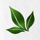 APL GO Информационный канал KZ