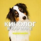 Александр Карелин | Заработок🇷🇺