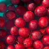 Katushka 🍎