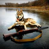 ОХОТА | ОРУЖИЕ Форум