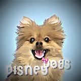 ⌢ 𝑨𝒍𝒗𝒊𝒏 𝒅𝒐𝒈𝒈𝒚 ⟡ ⌢