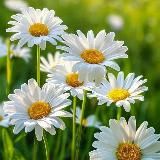 ✨Тихий уголок моей души...✨