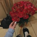 𝙇𝙤𝙫𝙚 𝙞𝙨 𝙡𝙞𝙛𝙚🫀