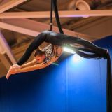 ЧАТ федерации RAPA🏆