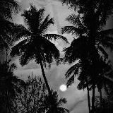 ᴠᴇʀsᴀᴄᴇ 🎶 | Сохры 🌀 | Цитаты 🫀