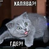 Сергей халявщик;)