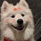 𝑺𝒘𝒆𝒆𝒕𝒓𝒐𝒍𝒍_𝒄𝒂𝒏𝒅𝒚 ❤️