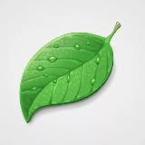 ЭКО Маркетинг