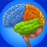 Интересные Факты