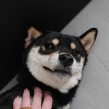 Единица измерения