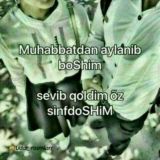 TANISHUV_ChAT♥