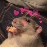 склад твоих картинок💖