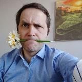 Поднявшиеся листья