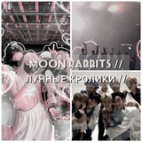 ♡:; moon rabbits ;:♡
