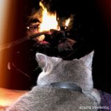 🖇 Обговорення треків 🥀 Спілкування без обмежень