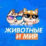 Мир и Животные