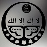 Лесные