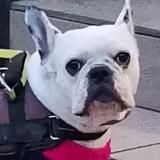 Пикчи без цензуры 🙈 Пошлые пикчи 🥵 Пикчи 18+ 🥺