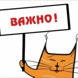 Всезнайка_бот