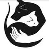 Животные Одесса❗Happydog_house❕Улюбленці Одеса