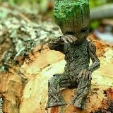 Taqvoliskzu_reklamasi 🧮