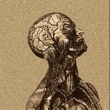 Анатомия и медицина