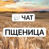 ПШЕНИЦА | ПРОДАЖА
