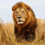 Бизнес | Мотивация