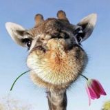 Travel -туры по всему миру🌏