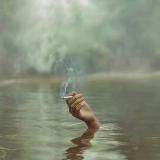 No body dies a virgin