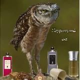 Духи в волосах🍃