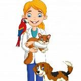 Ветеринар поруч🐶🐱👩⚕🩺💊