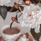 Марина ma_buddhi ❤️ Наставник Сердца