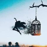 ️️️EXPERTE-0815