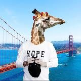 маркетинг, вино и выгорание.