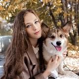 Галчонок пишет