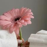 послание из будущего