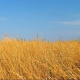 Подземный полёт