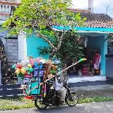 Твой друг на Бали