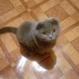 Церковь Надежда