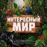 Интересный Мир