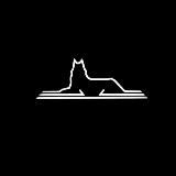 тихом омуте.